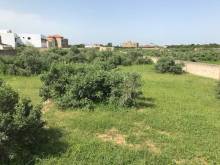 Nos prestations sur le secteur de Nianning au Sénégal